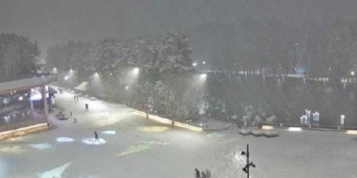 Došla je prava zima! Obelela užička sela, gust sneg pada na Zlatiboru i Tari (FOTO)