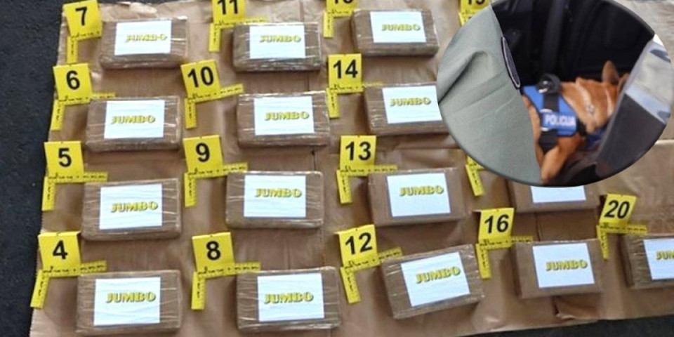 U Hrvatskoj uhapšen krijumčar droge iz Trebinja! "Pao" sa 20 kilograma kokaina, a nećete verovati čiji je on brat