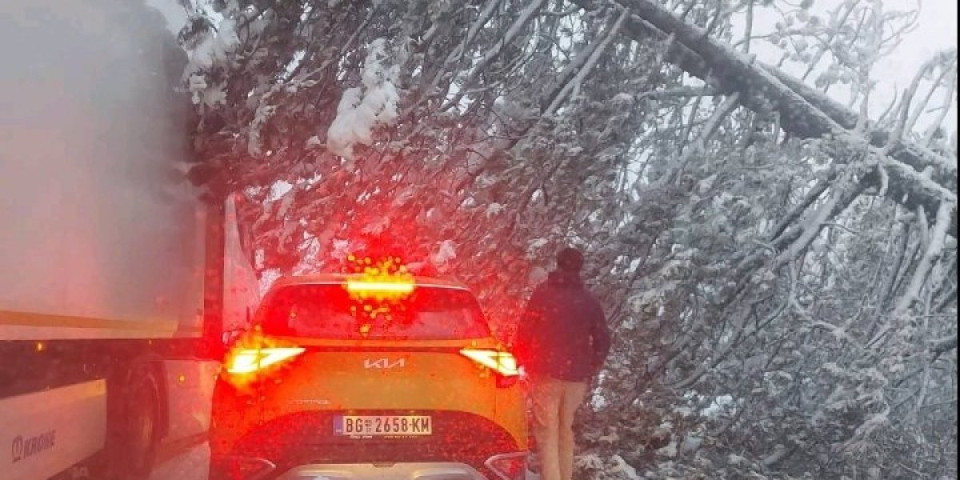 Drama kod zavejanih Kremana! Pod težinom snega drvo palo na teretnjak, zaustavljen saobraćaj (FOTO)