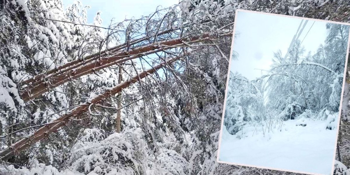 Snežni kolaps na zapadu Srbije! Hiljade ljudi bez struje, bez prestanka se radi na otklanjanju kvarova! (FOTO/VIDEO)