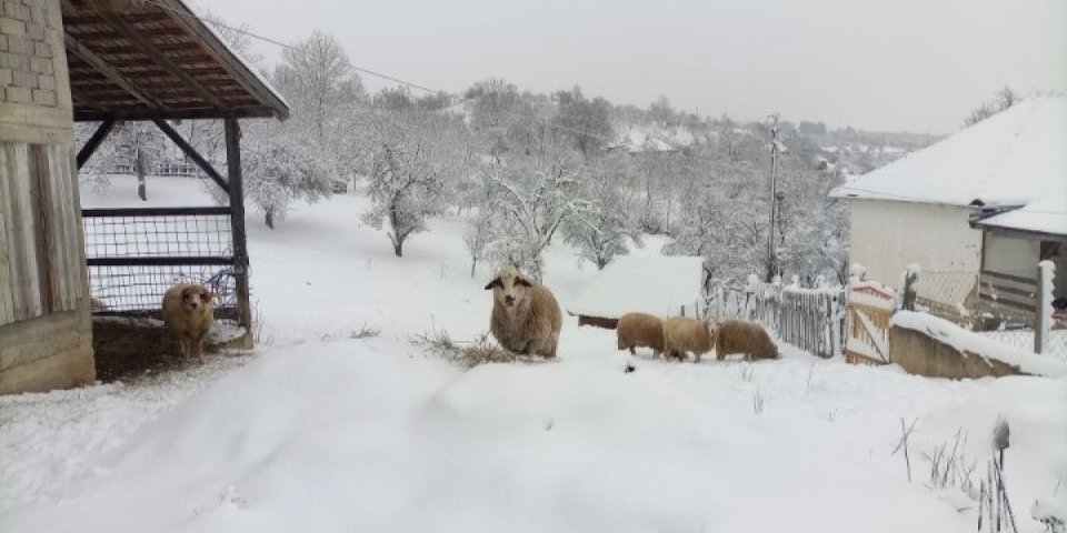 U ovom delu Srbije pao sneg metar visine! (Foto)