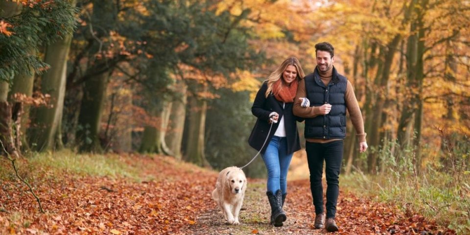 Šetnja usporava napredak ove bolesti: Evo zašto penzioneri treba da je praktikuju