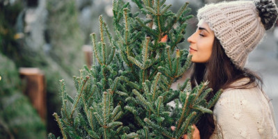 Svežu jelku za novogodišnje praznike treba kupovati pet do sedam dana ranije da bi ona ostala sveža sve do pravoslavne Nove godine.