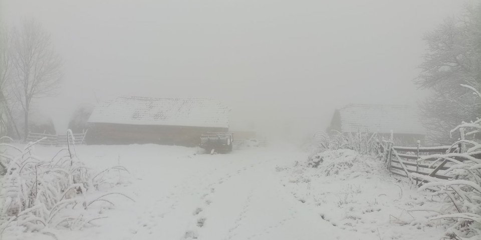 Kad padne mrak, svi trče u kuće: Pre nekoliko večeri on joj je došao pred vrata