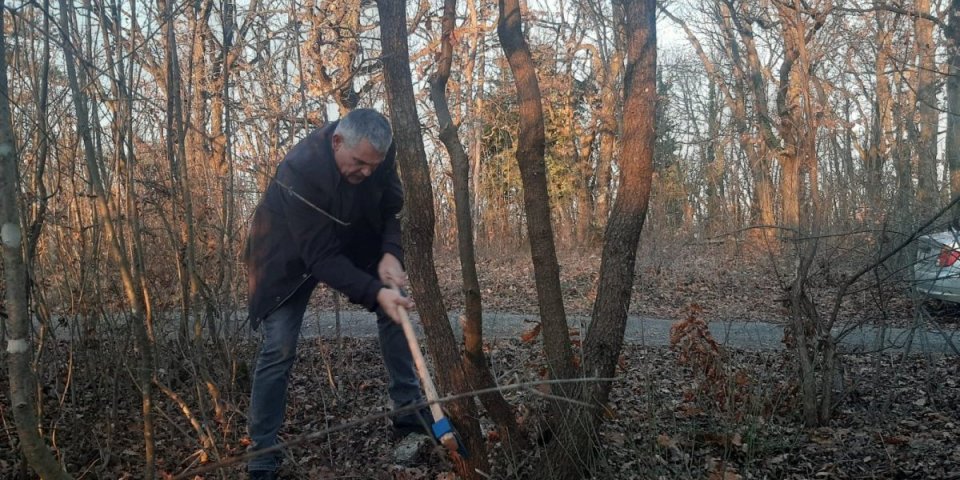 Kako se pravilno seče badnjak? Ovo treba da zna svaki domaćin