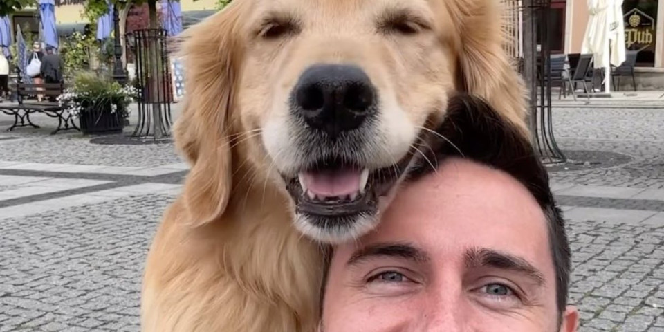 Njoj niko ne može da odoli! Pas Eli ima 2 miliona pratioca na Instagramu, a ekspert je u pravljenju selfija (VIDEO)