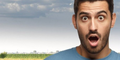 Uzgajanje japanskih prepelica predstavlja isplativ mali biznis koji se može pokrenuti i u dvorištu, a uz minimalna ulaganja omogućava mesečnu zaradu i do 5.000 evra.