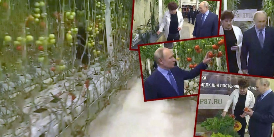 (VIDEO) Putin se hvali krastavcem iz Rusije - nasmejaćete se! Jeftiniji, ukusniji, probao i ovo povrće iz uvoza - ono "kao staklo"