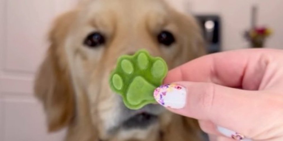 Napravite pseće osveživače za dah! Ljubimac će uživati u grickanju, a sastojke već imate u kuhinji (VIDEO)