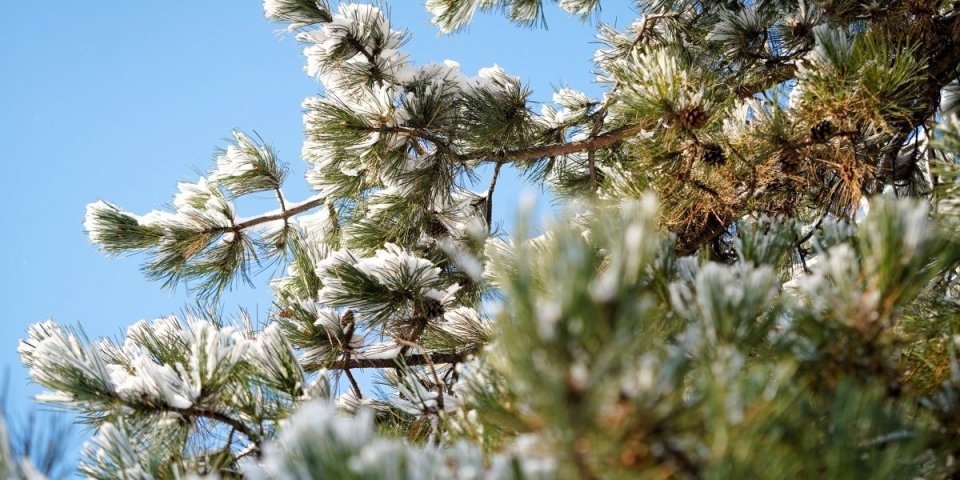Odzvonilo Miholjskom letu: Od sutra minus - Ovog datuma stiže sneg