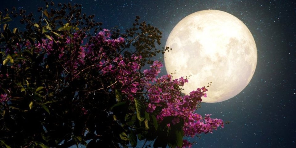 Danas tačno u 18.54 časova stiže događaj koji menja sve! Pun Mesec u Lavu donosi velike promene za 4 znaka