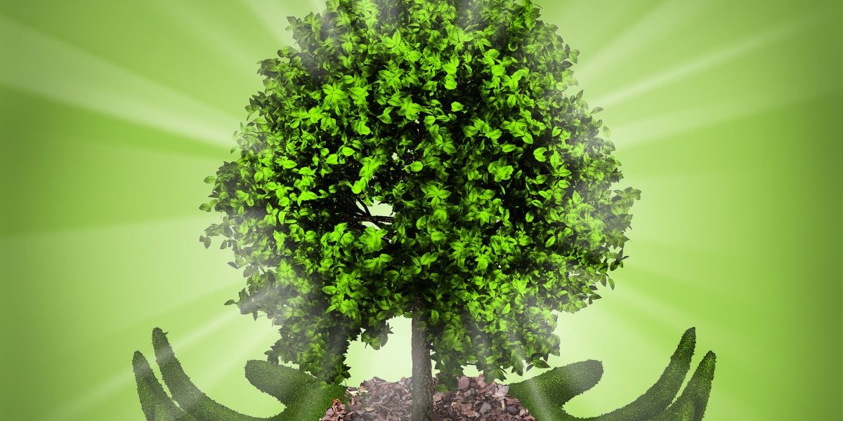 Naučnici rešili ključno pitanje za opstanak planete Zemlje: Više nećemo imati problema sa ugljen-dioksidom