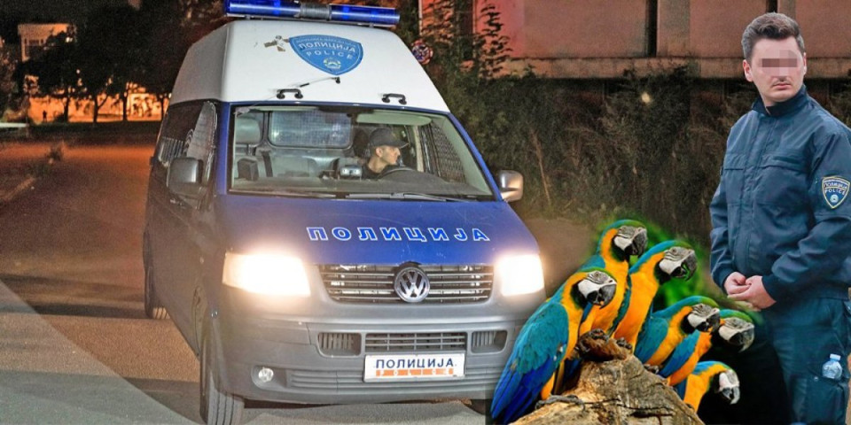 Srbin "pao" sa 47 papagaja! Uhvaćen na carini, odgovaraće za ovo