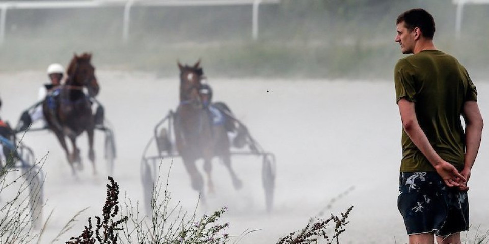 Jokićev konj razbio konkurenciju u Italiji! Kupio ga prošle godine, ovo je zarada! (VIDEO)
