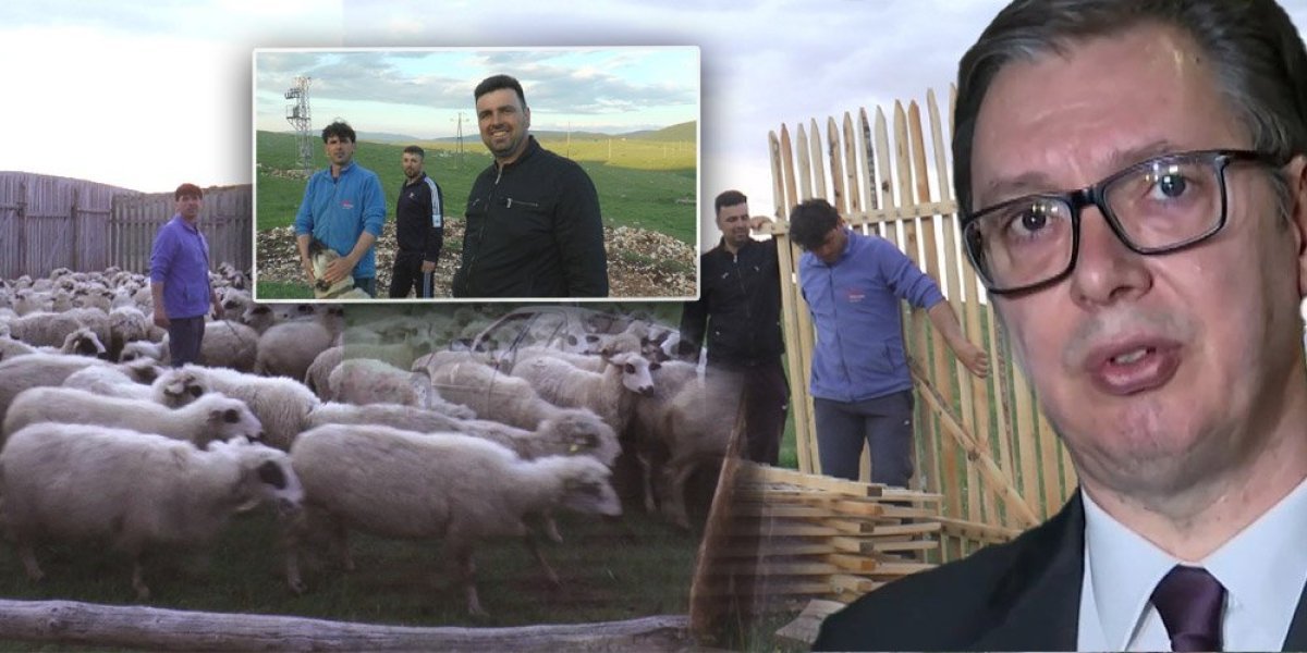 Njih je odlikovao predsednik Vučić! Ova braća sa Peštera su za ponos Srbije! (FOTO)