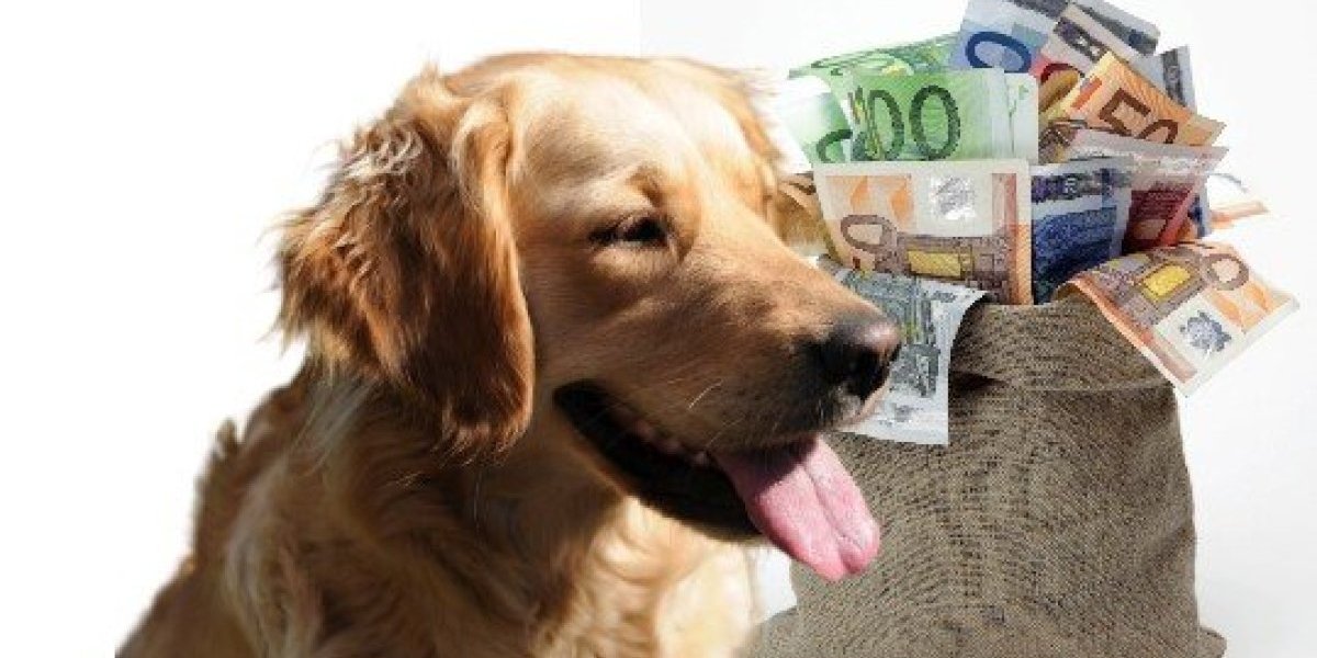 Pas uleteo u prodavnicu, zgrabio dobitnu srećku na lutriji i predao je svom vlasniku! Eto, kako se pare uzimaju