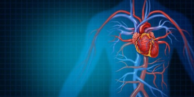 Za čišćenje krvnih sudova ne morate posezati za skupim preparatima, prirodni sastojci iz vaše kuhinje takođe mogu da budu jednako efikasni.