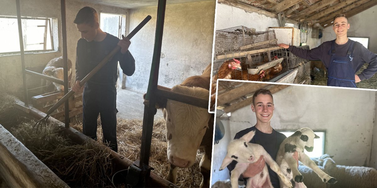 "Želja mi je da kupim i konja"  Zoran je najmlađi farmer u Srbiji: Vreme na internetu provodi samo kada je crveno slovo! (FOTO)