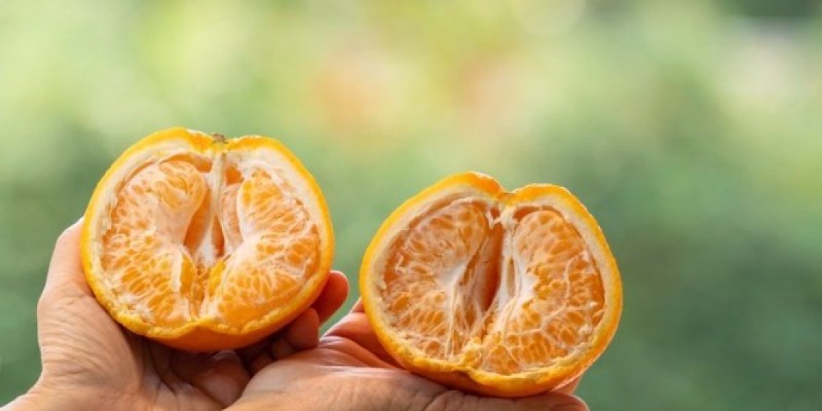 Pola kilograma košta 8.900 evra: Kora ovog voća miriše na zlato