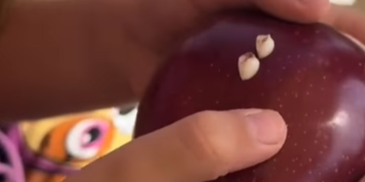Liči na crviće, ali... Kada vidite šta se to zaglavilo u jabuci, plakaćete od smeha! (VIDEO)