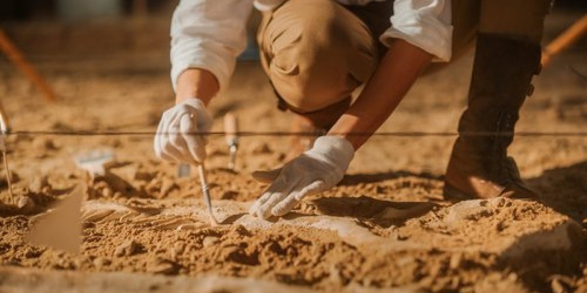 Pronađena grobnica u kineskoj provinciji: Nećete verovati ko je tamo sahranjen