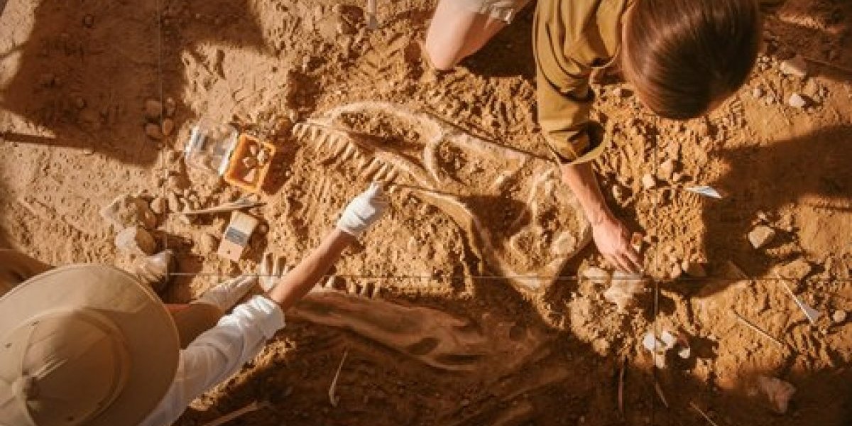 Neverovatno otkriće! U Turskoj pronađeni ostaci hleba stari više od 8 vekova (FOTO)