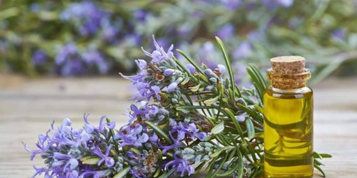 Ruzmarinova voda je hit letnje nege: Ubrzava rast kose i umiruje kožu, a pravi se očas posla