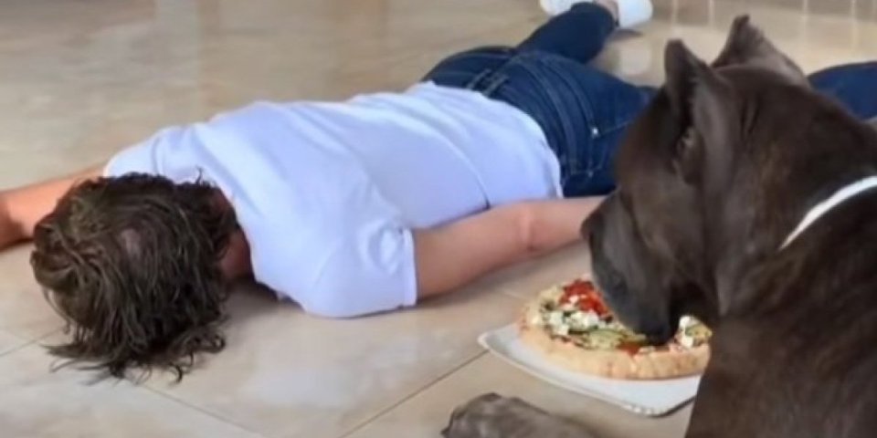 "Onesvestila" se ispred psa, noseći picu u rukama! Reakcija njenog ljubimca je neprocenljiva (VIDEO)