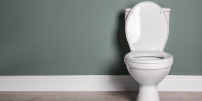 Aukcijska kuća Sotbi danas je objavila da će na aukciji prodati skulpturu italijanskog umetnika Mauricija Katelana WC šolju od čistog zlata, nazvanu "Amerika".