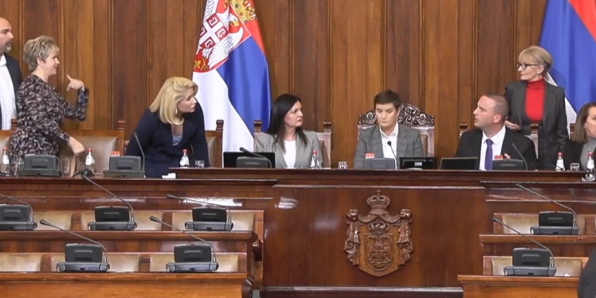 Izabrani potpredsednici Skupštine Srbije! Ovih šest poslanika dobilo je funkcije