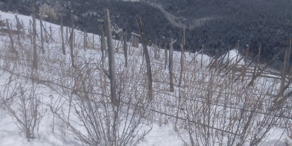 Sneg će okovati jedan deo Srbije! Padavine ne prestaju, a evo kada nam stiže prvi sunčan dan