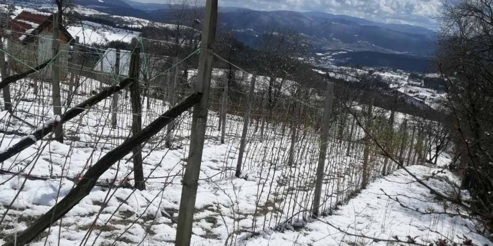 Objavljena prognoza za 6. decembar! Evo gde će danas biti najtoplije, a gde će pasti sneg!