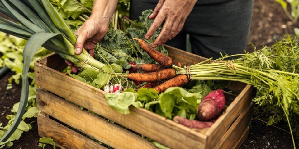 Jesenje povrće koje snižava pritisak za samo 2 nedelje