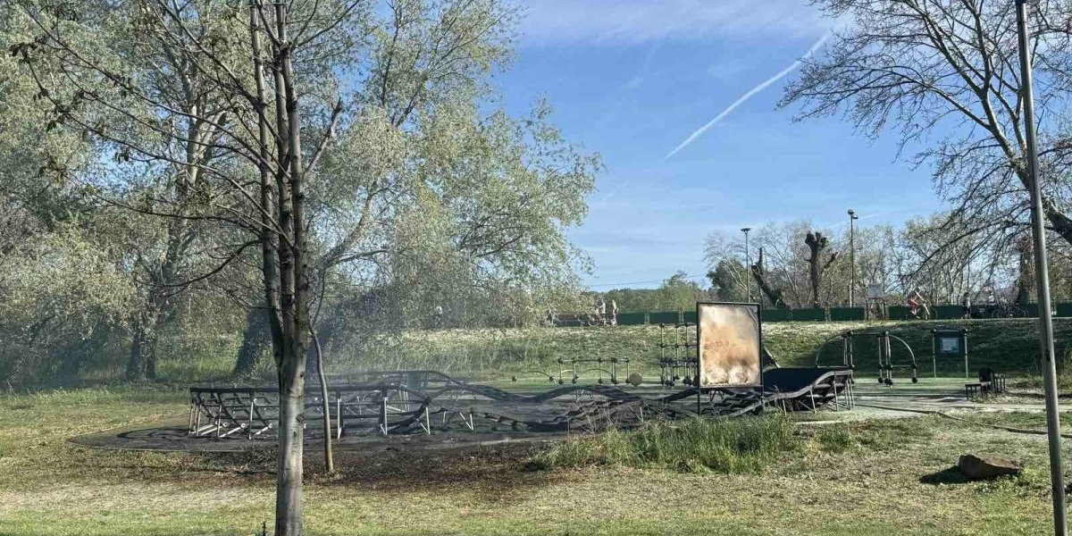 Detalji požara u Novom Sadu: Palio topolu pa spalio igralište!