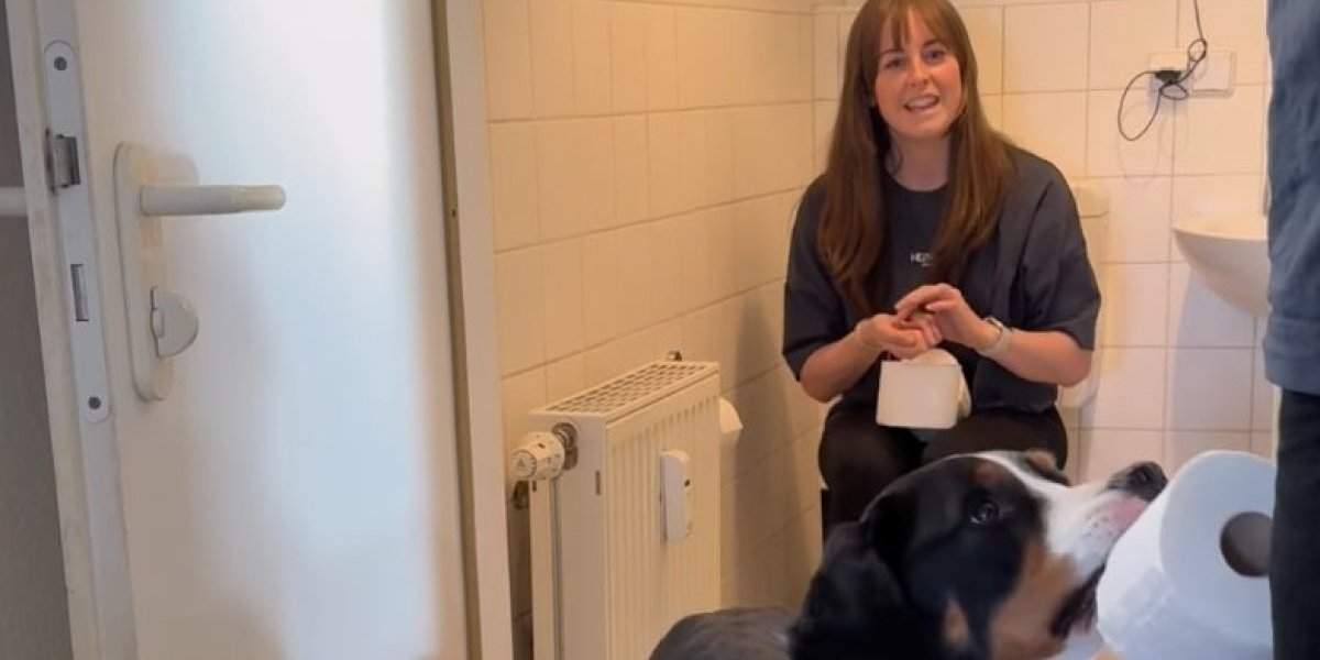 Plakaćete od smeha! Dresirali su psa da donosi toalet papir! Ko bi se još ovoga dosetio? (VIDEO)