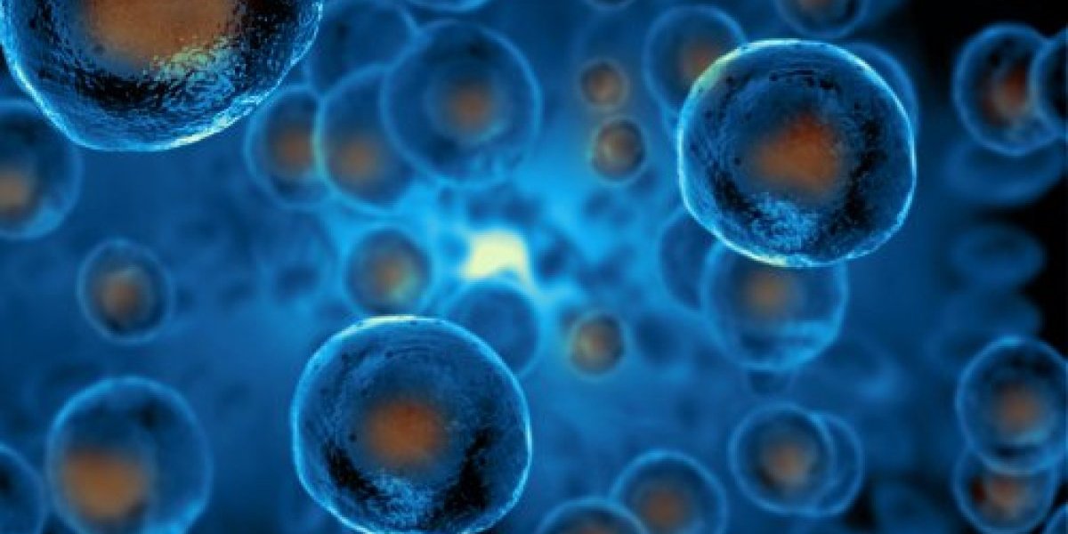 Koja je "tajna" ljudi koji su pobedili rak? Naučnici iz 40 zemalja prvi put traže odgovor koji može promeniti budućnost