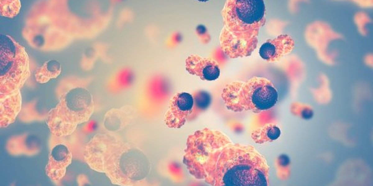 Ovo je lek protiv raka: Šokiraćete se kada vidite koja životinja ga krije