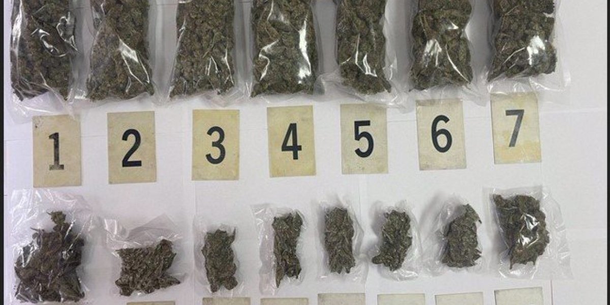 Zaplenjeno skoro kilogram i po marihuane u Pančevu! Uhapšen diler