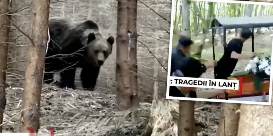 Medved upao na sahranu u rumunskom selu! Potrčao ka povorci, zastao, a onda se okrenuo... (VIDEO)