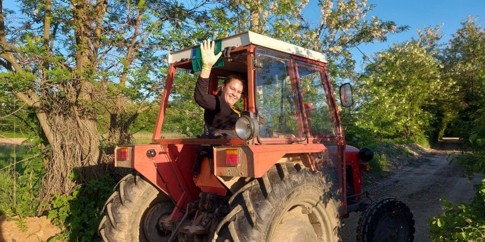 Čija brazda je najbolja: U Novom Selu kod Vrnjačke Banje ovog vikenda takmiče se orači