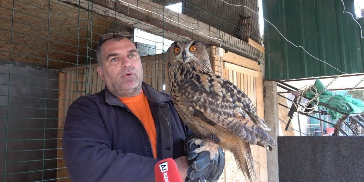 Buba i Coka su jedini bračni par najvećih sova na svetu! Žive tu, u Kikindi!