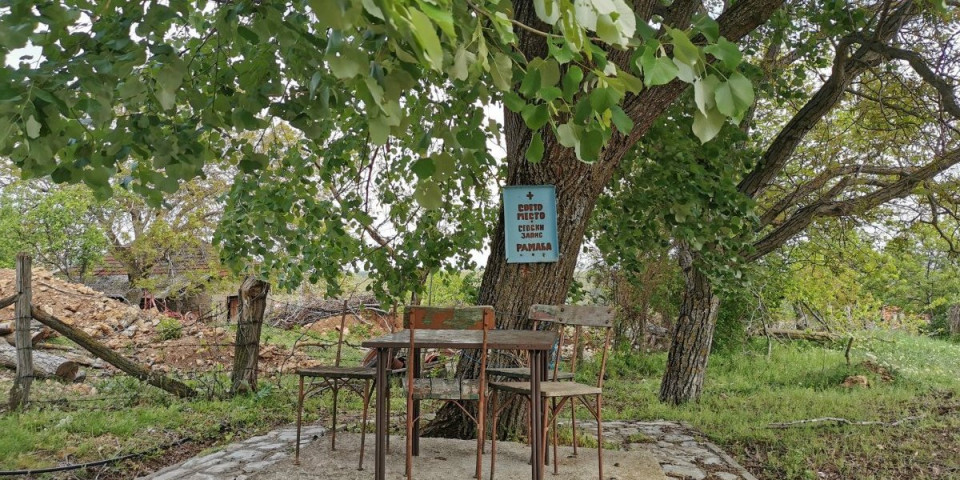 U srpskim selima i dalje postoji "drvo zapis": Kultno mesto koje štiti od nevremena i nesreće (FOTO)