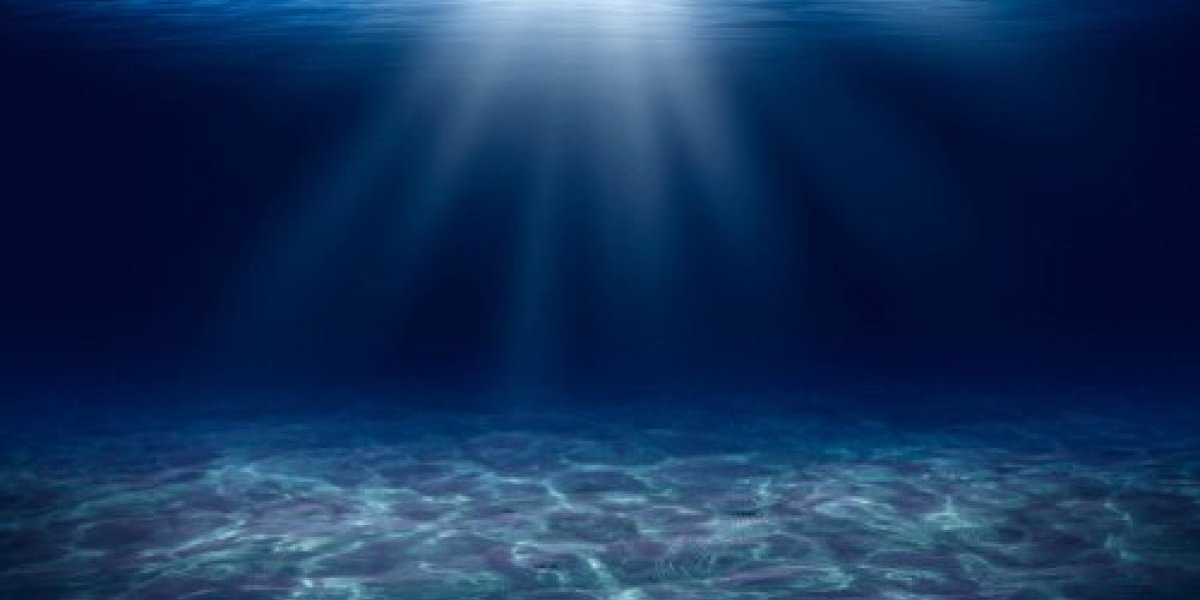 Alarmantni izveštaj: Veliki koralni greben zabeležio najveći godišnji pad korala - Ovo je zastrašujuće