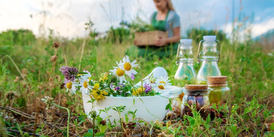 Ova biljka im je promenila život: Aleksandra i Perica imaju zanimljivu priču