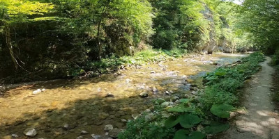 Noćenje u privatnom smeštaju u Sijarinskoj banji i ove sezone za jednu osobu košta svega 1.000 dinara, a veliki broj kako domaćih tako i stranih turista bira upravo ovu destinaciju zbog njenih lekovitih voda.