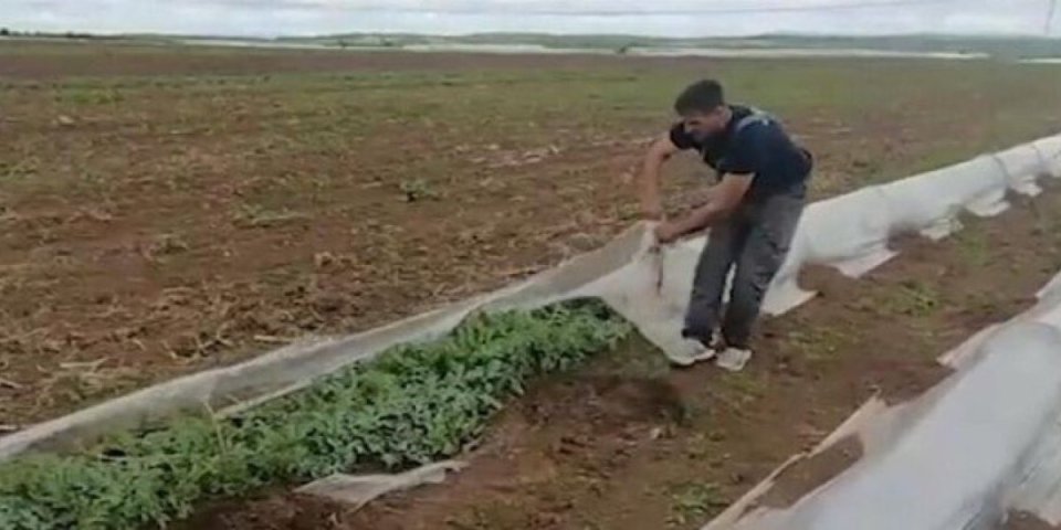 Država proverava ko zaista obrađuje zemlju: Nema podsticaja bez kontrole