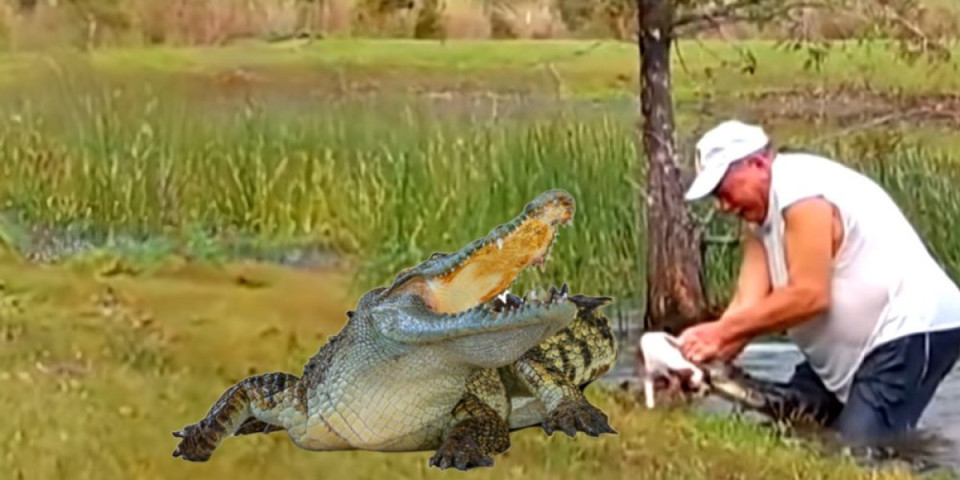 Šok video! Deda u osmoj deceniji spasao psa od aligatora - rascepao mu čeljusti golim rukama sa sve tompusom u ustima (VIDEO)