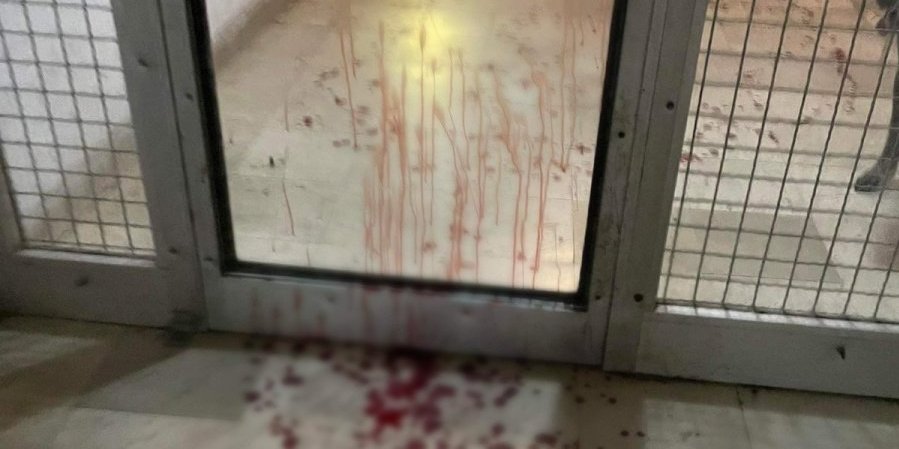 Ubadanje na Medaku: Krvavi izleteli iz stana, iza sebe ostavili jeziv prizor (FOTO)