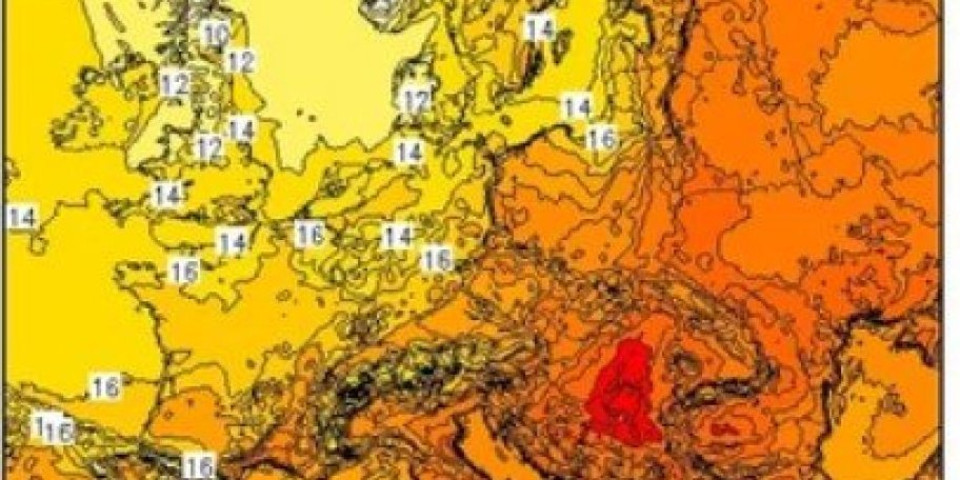 Vanredna situacija u Africi zbog širenja virusa majmunskih boginja!