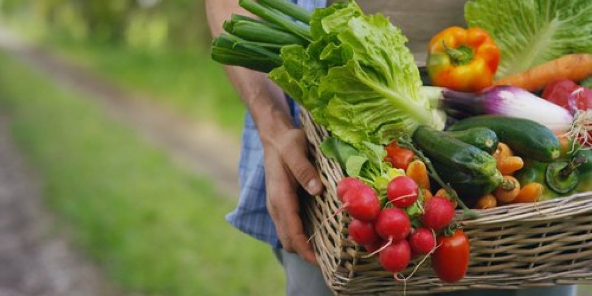 Nije kasno za uzgajanje povrća u bašti! Evo šta možete da zasadite u junu